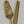 Záhra Naqashi - Set of 2 Cake server in brass